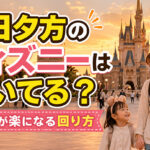 平日夕方のディズニー