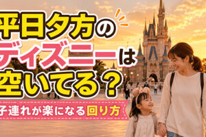 平日夕方のディズニー