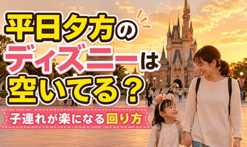平日夕方のディズニー